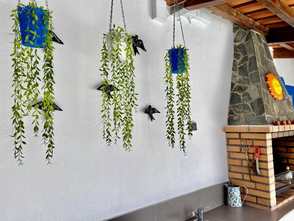 הוילה אלבור Casa Dos Montes מראה חיצוני תמונה